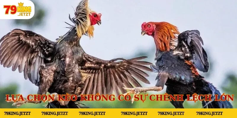 Nên lựa chọn tỷ lệ kèo không có sự chênh lệch lớn