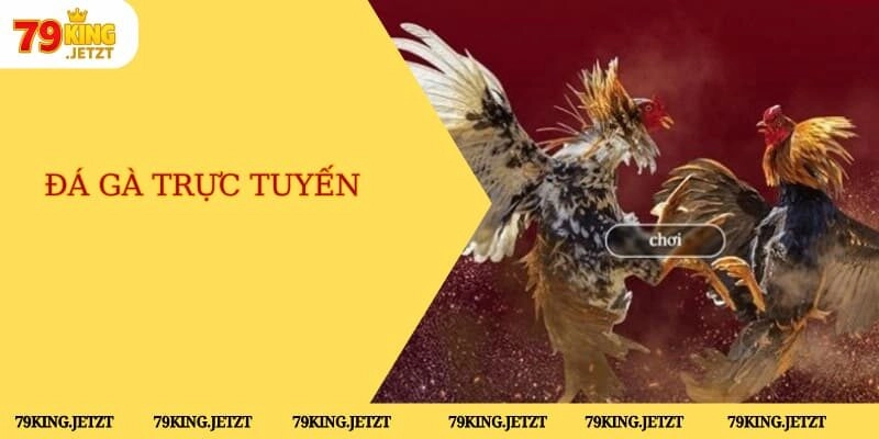 Đá gà trực tuyến
